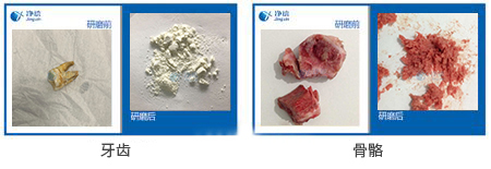 骨骼牙齒研磨儀研磨效果圖